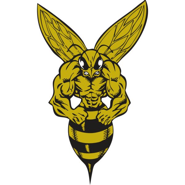 BAW BEE 06 RC Thumbnail